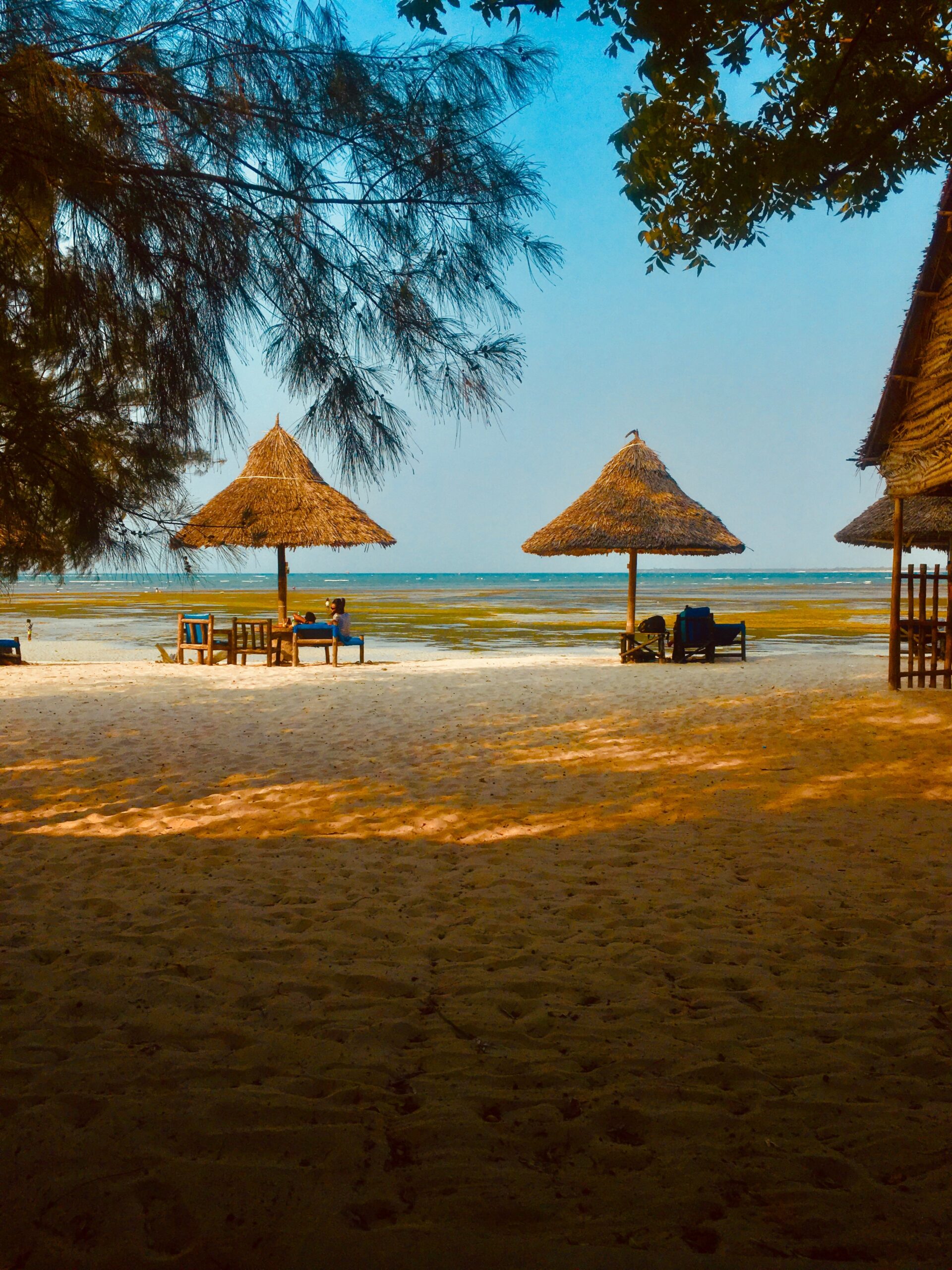 10 Untold andShocking Facts About Africa’s Wealth You Never Knew