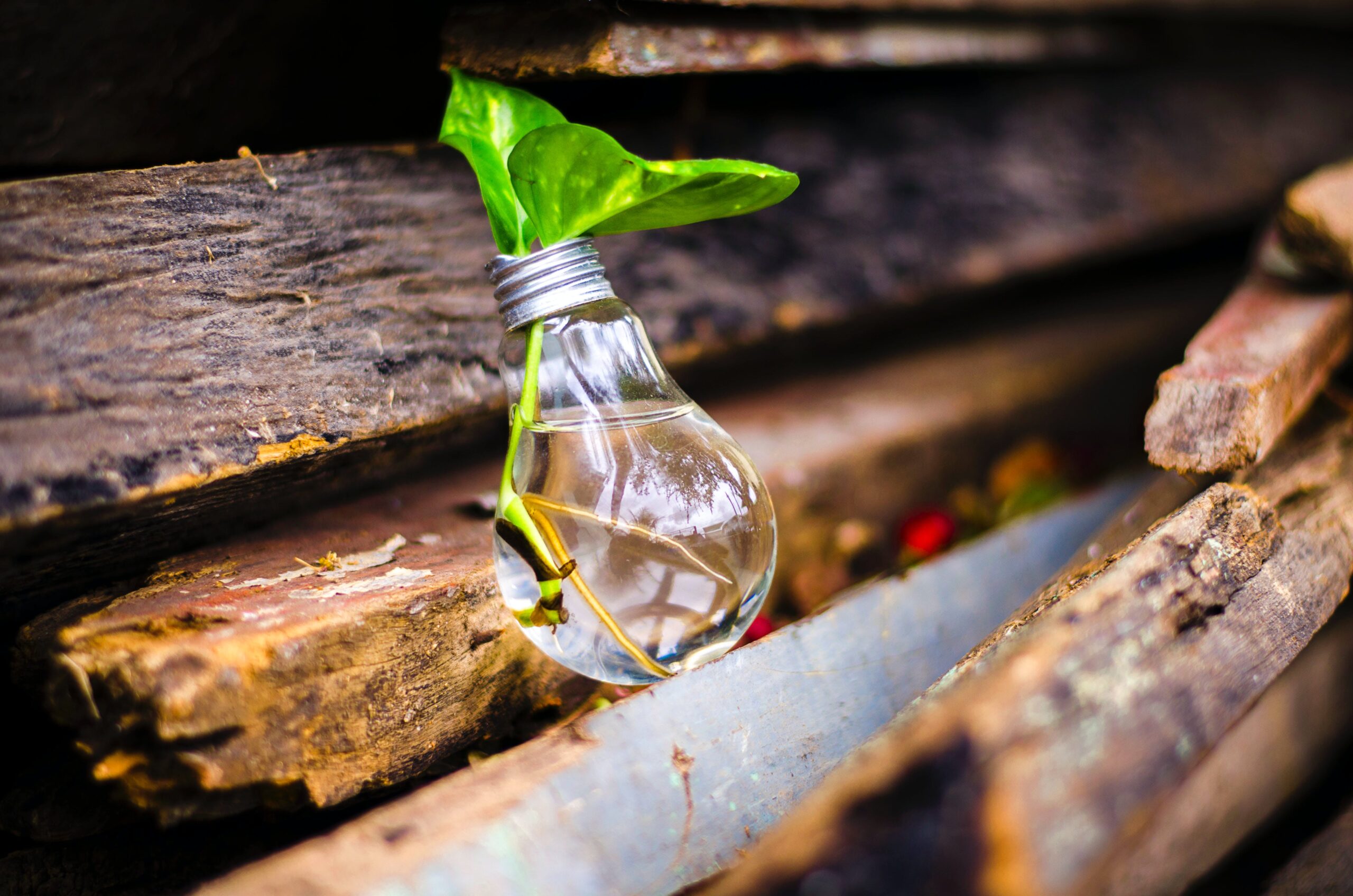 Reimagining Innovation: Seize Opportunities Ahead