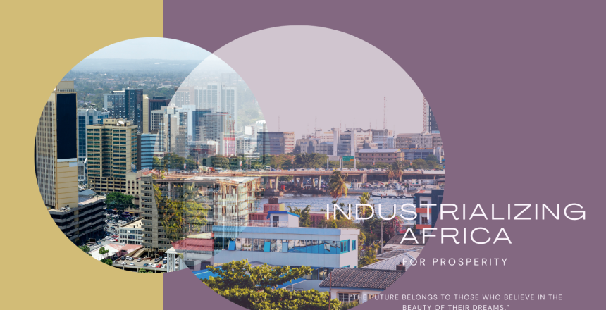 Industrializing Africa